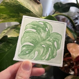 "Fauxlaroid" Monstera Etching
