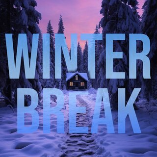 Winter Break (Young Adult Thriller)