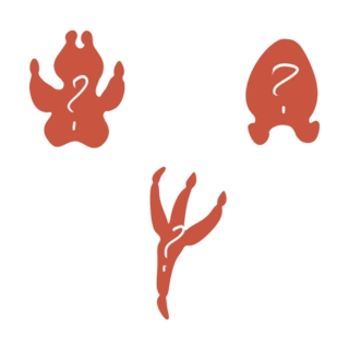 Bear Claws Gacha Bag