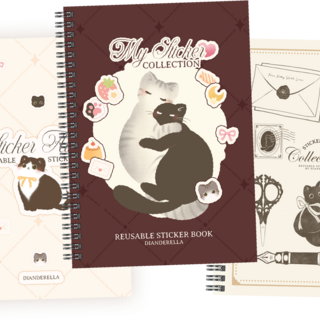 Reusable Sticker Book