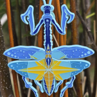 Mantis Compass