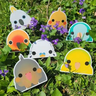 Peeker Sticker