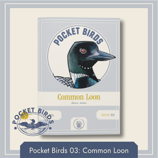 PB03 - Common Loon