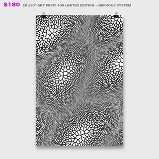 NERVOUS SYSTEM ARTPRINT 20 x 30