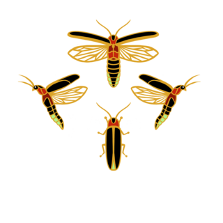 Firefly Glow-in-the-Dark 4-Piece Mini Pin Set