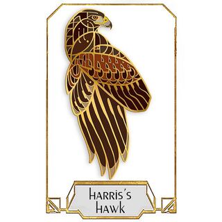 Harris's Hawk Pin