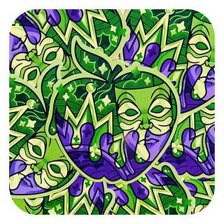 Magical Silhouette Evil Queen Vinyl Glossy Sticker