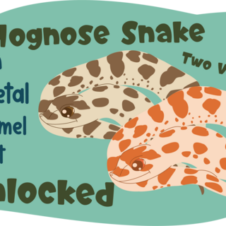 Hognose Snake Dyed Pin