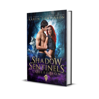 Shadow Sentinels Collection Paperback