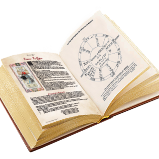 le Tarot de la Reyne –  Livre uniquement - Book only