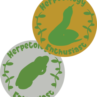 Herpetology Enthusiast Enamel Pin