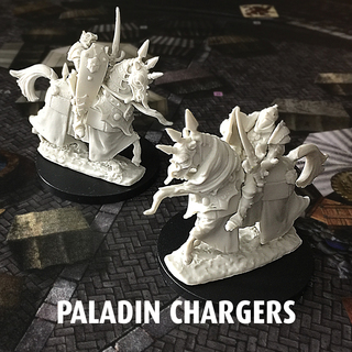 Paladin Chargers