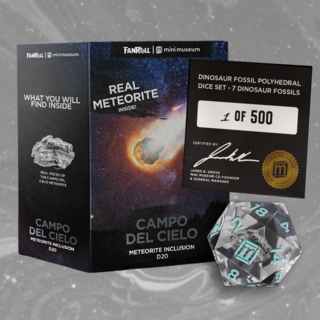 Campo del Cielo Meteorite d20