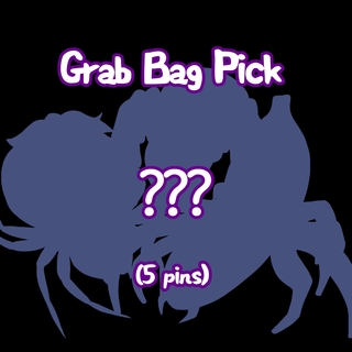 5 Random Spider Pins