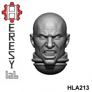 HLA213