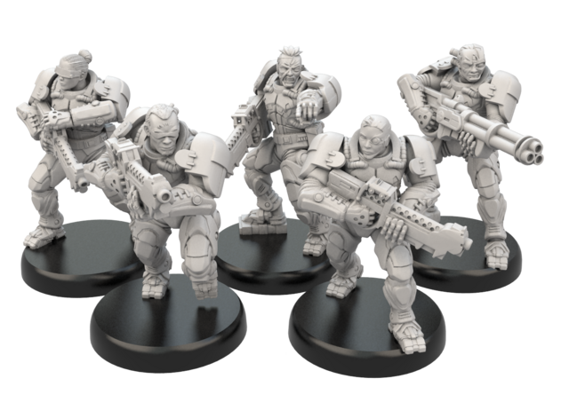 Cybertronic Chasseurs Expansion Box