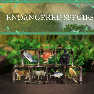 Large D6 (19mm) Dice Set - Endangered Species