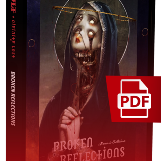 Broken Reflections [PDF]