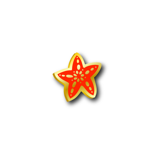 Accent Pin | Sea Star - Red