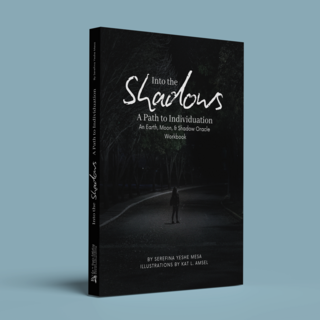 Into the Shadows: A Path to Individuation (Companion Workbook)