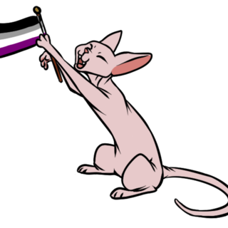 Ace flag Cat pin