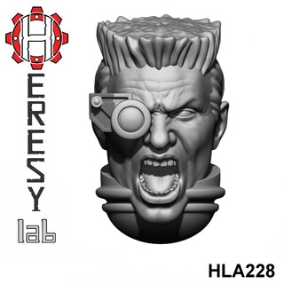 HLA228