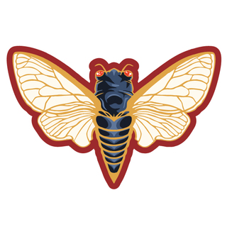 Cicada Sticker