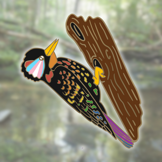 Rainbow Woodpecker 2" Pin