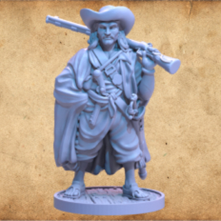 Howard Pyle Inspired Model