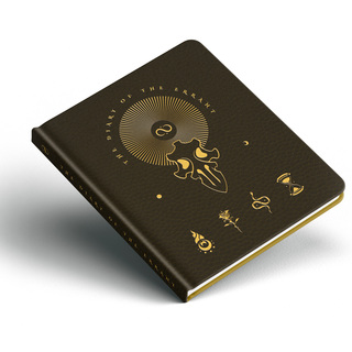 Diary of the Errant Book