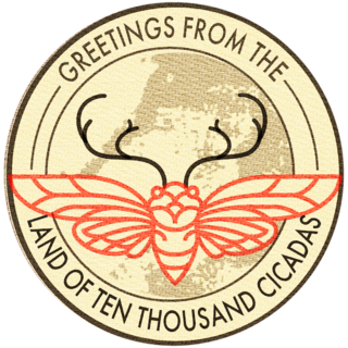 Cicada patch (free with all early bird pledges)