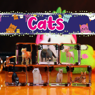 Regular D6 (16mm) Dice Set - Cats