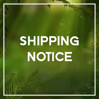 🟩Shipping  Notice🟩