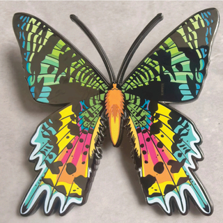 Madagascan Sunset Moth 2.5" XL pin