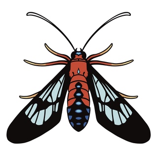 Scarlet-Bodied Wasp Moth 1.5" mini pin