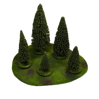Medium Forest