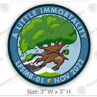 ALI Mission Patch