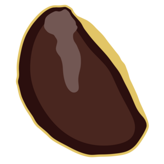 Star Apple Seed