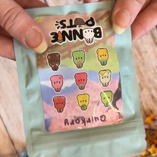 Mystery Bag | Bunnie Pots