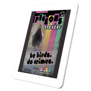 🐦 Pigeon's Eleven PDF