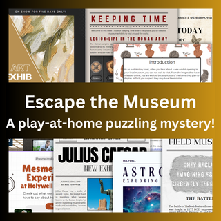 Escape the Museum