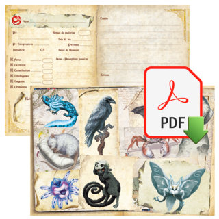 💾🐉 DRAGONS - Feuille de familier - Édition PDF