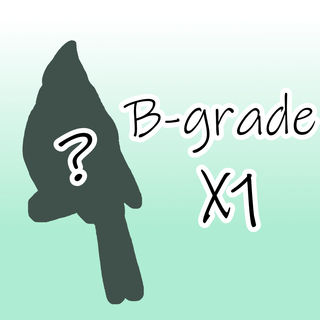 B-Grade Birdtober Sticker (Mystery)