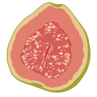 Pocket Fruit Clear Acrylic Magnet