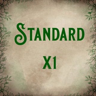 Standard Enamel Pin