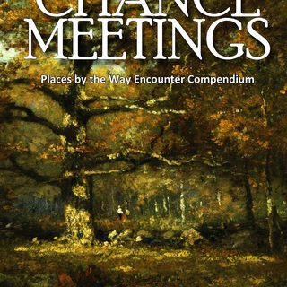 Book of Chance Meetings PDF