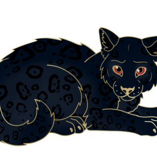 Beast of bodmin kitten