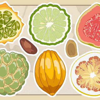 Pocket Fruit Sticker Sheet
