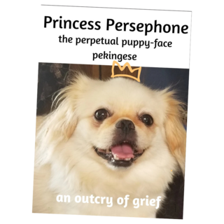 Princess Persephone zine