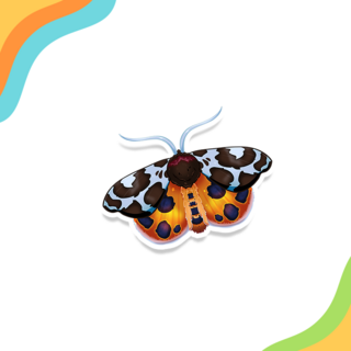 Garden Tiger Moth Sticker